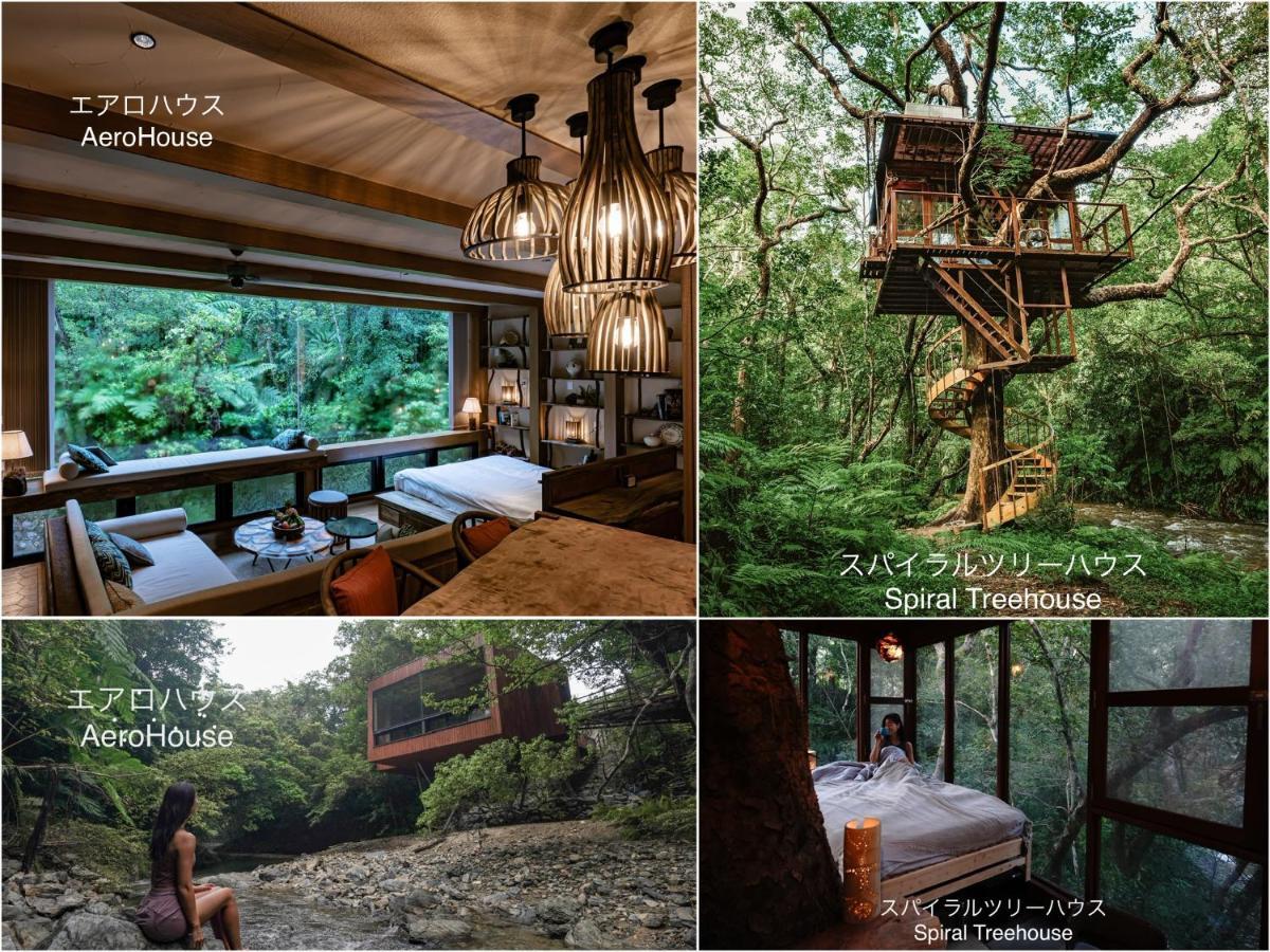 Treeful Treehouse Sustainable Resort นาโงะ ภายนอก รูปภาพ