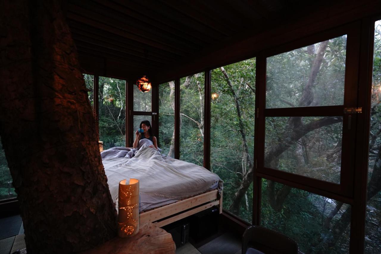 Treeful Treehouse Sustainable Resort นาโงะ ภายนอก รูปภาพ