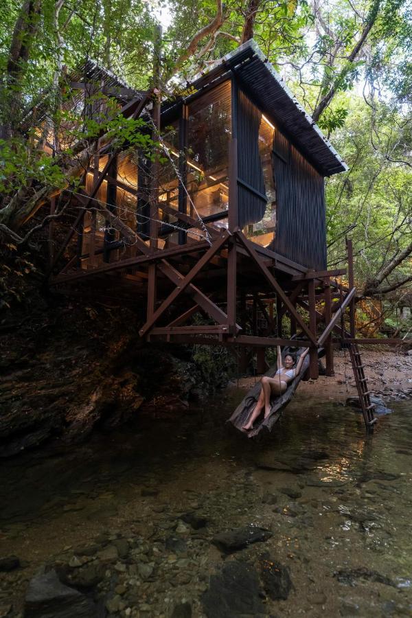 Treeful Treehouse Sustainable Resort นาโงะ ภายนอก รูปภาพ