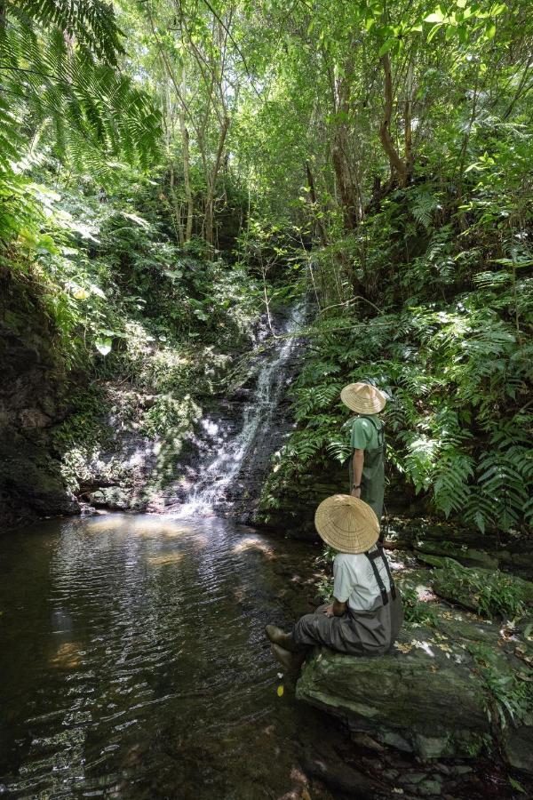 Treeful Treehouse Sustainable Resort นาโงะ ภายนอก รูปภาพ